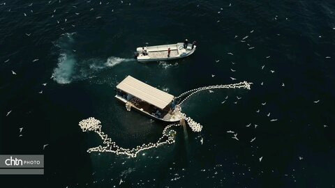 استان هرمزگان