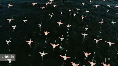 استان هرمزگان