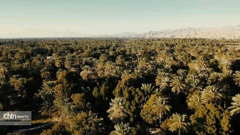 استان هرمزگان