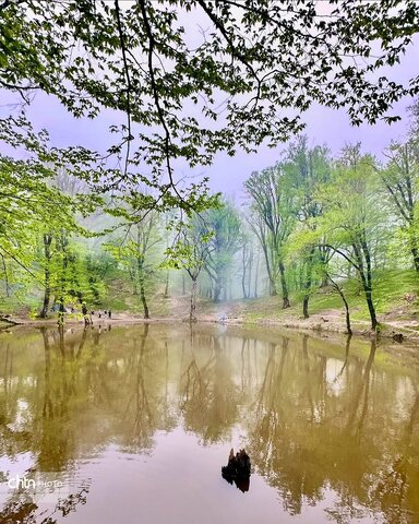 مرداب نیلکوه شهرستان گالیکش