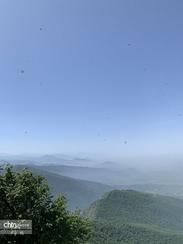 مرداب نیلکوه شهرستان گالیکش