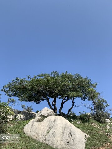 مرداب نیلکوه شهرستان گالیکش