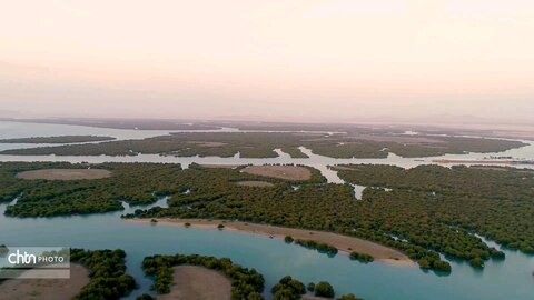 گردشگری حرا