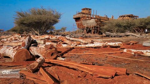 نفس چوب و دریا؛ روایت تصویری از لنج سازی در هرمزگان