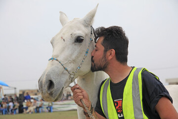 شرق گلستان، غرق در زیبایی اصیل‌ترین اسب‌ها می‌شود/ شرکت ۱۰۰ رأس اسب اصیل ترکمن از ۱۱ استان