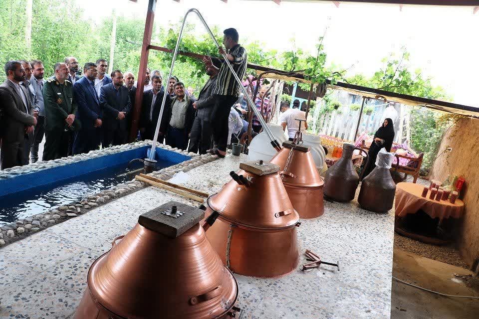 برگزاری سومین جشنواره گل محمدی در روستای خوزنین قزوین