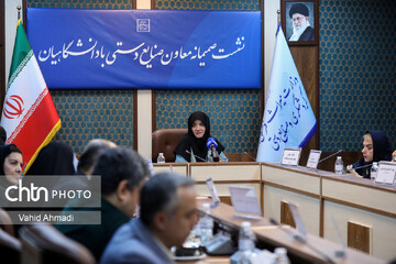 تشکل‌محوری راهکار ارتقا اثربخشی در حوزه صنایع‌دستی است/ نهایی شدن برنامه پنج‌ساله با مشارکت دانشگاه‌ها