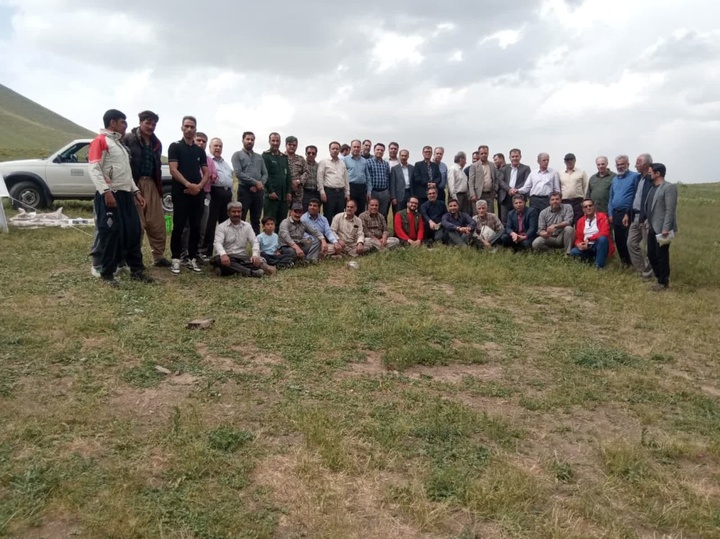 برپایی نشست تخصصی احیای پوشش گیاهی/ رزن به قطب گیاهان دارویی و اکوتوریسم تبدیل می شود