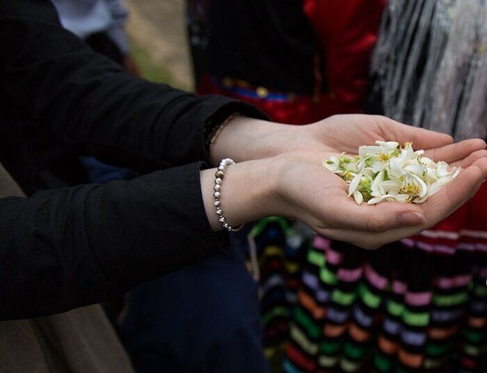 شروع جشنواره بهار نارنج در گیلان