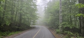 درازنو جاده ای رو به "فراغ بال"