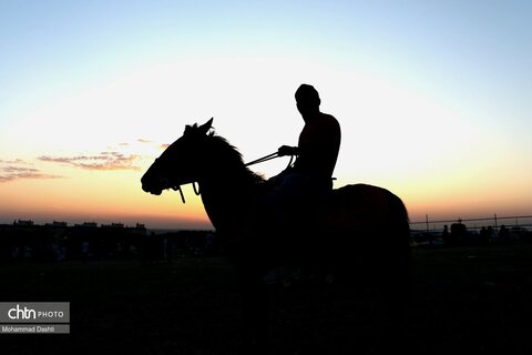 سومین جشنواره بین المللی کوچ عشایر شاهسون مغان