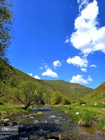 طبیعت بهاری منطقه گردشگری کوهستان تاله‎جار اشنویه