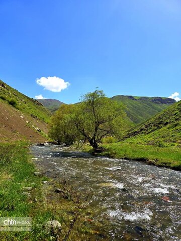 طبیعت بهاری منطقه گردشگری کوهستان تاله‎جار اشنویه