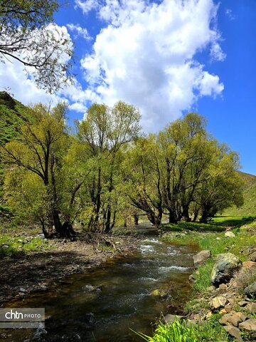 طبیعت بهاری منطقه گردشگری کوهستان تاله‎جار اشنویه
