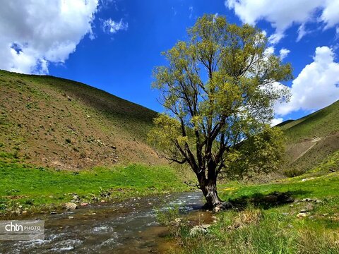 طبیعت بهاری منطقه گردشگری کوهستان تاله‎جار اشنویه