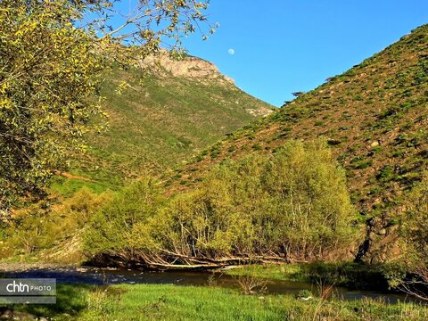 طبیعت بهاری منطقه گردشگری کوهستان تاله‎جار اشنویه