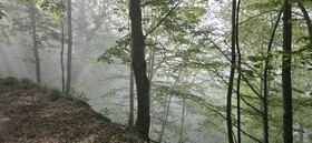 رقص ابرها بر فراز کوه‌های سرسبز گلستان