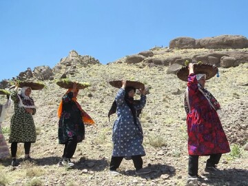برپایی جشن ریواس روستای راوه دلیجان با برنامه‌های متنوع