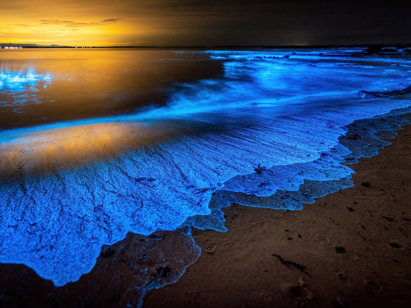 جزیره لارک؛ گنج پنهان خلیج فارس