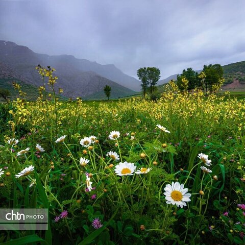 دورود پایتخت ایران