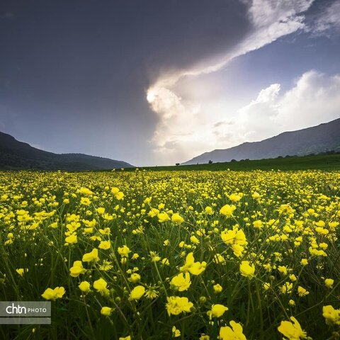 دورود پایتخت ایران