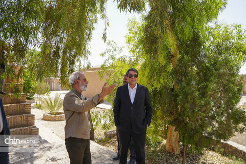 بازدیداستاندار