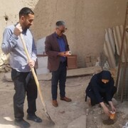 کنترل آسیب موریانه در بنای تاریخی مسجد جامع ابرکوه