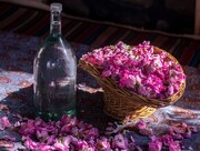 برگزاری جشنواره گلاب‌گیری در کاخ مروارید مهرشهر کرج/ برپایی ۷۰ غرفه صنایع‌دستی و سوغات