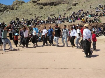جشنواره ریواس در راوه دلیجان