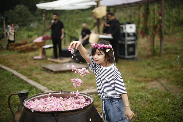 چهارمین جشنواره گلاب‌گیری گرگان در مزرعه گردشگری توسکا برگزار شد