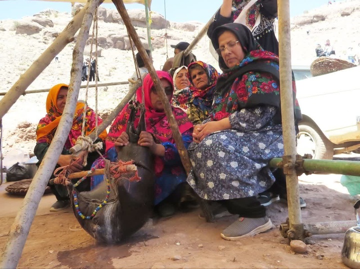 ریواس راوه دلیجان