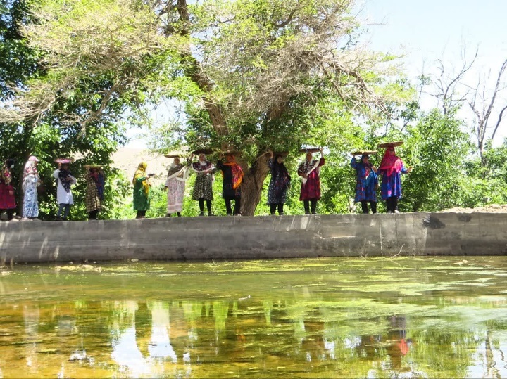 ریواس راوه دلیجان