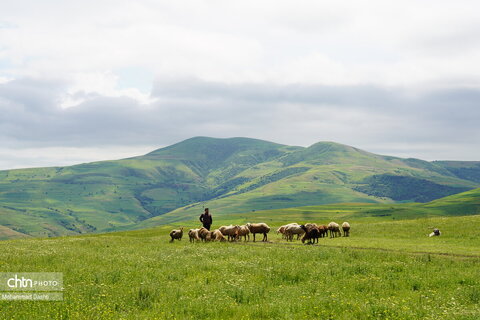 جشنواره غذاهای سنتی شهرستان گرمی
