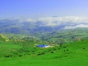فرصت دو هفته‌ای میراث فرهنگی گیلان به کارخانه سیمان دیلمان: کارخانه سیمان دیلمان به تعهدات خود عمل نکرده است 