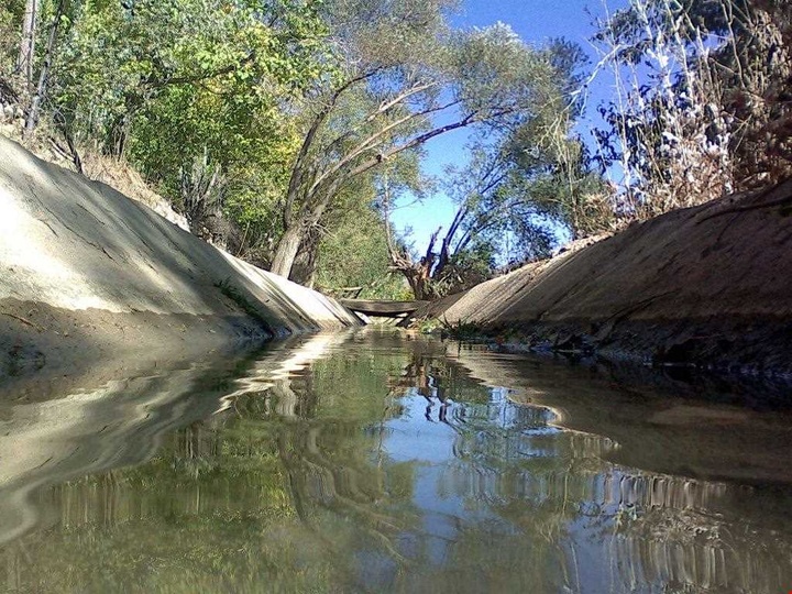 آهو گوهری پنهان از توابع شهرستان آشتیان