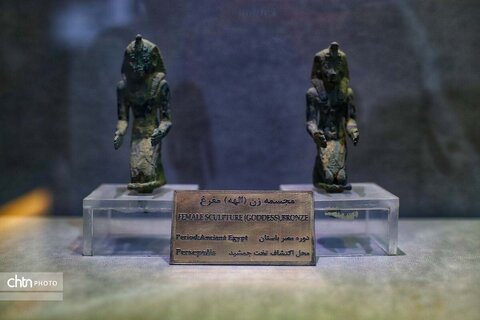 موزه تخت جمشید