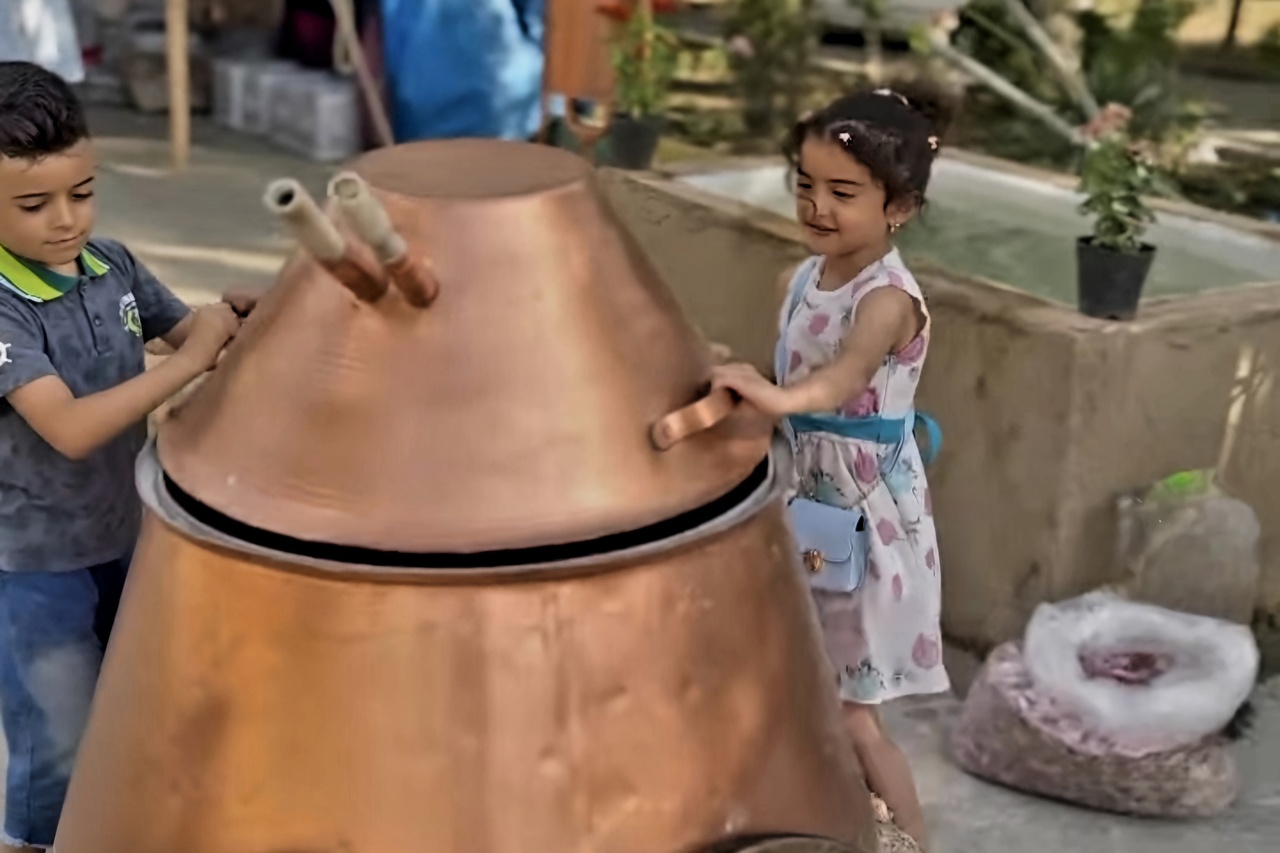 عطر گلهای محمدی و بهاری در بوستان جهاننما پیچید/ استقبالی بینظیر از جشنوارهای با چاشنی سنتهای ایرانی