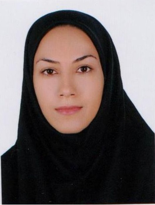 جنگل‌های هیرکانی، میراثی جهانی و چراغ راهی برای آیندگان