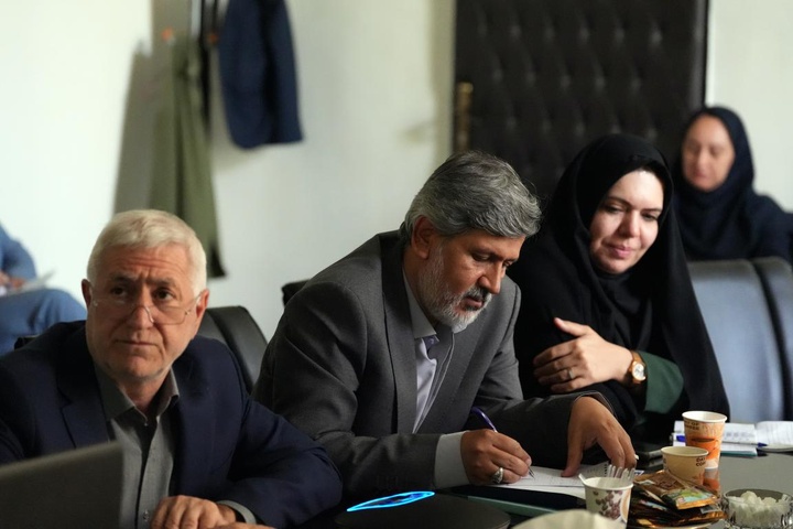 نشست آنلاین