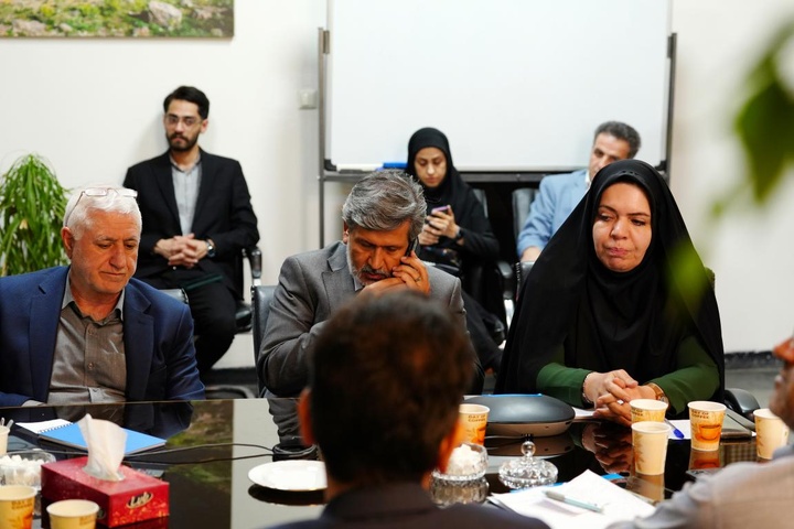 نشست آنلاین