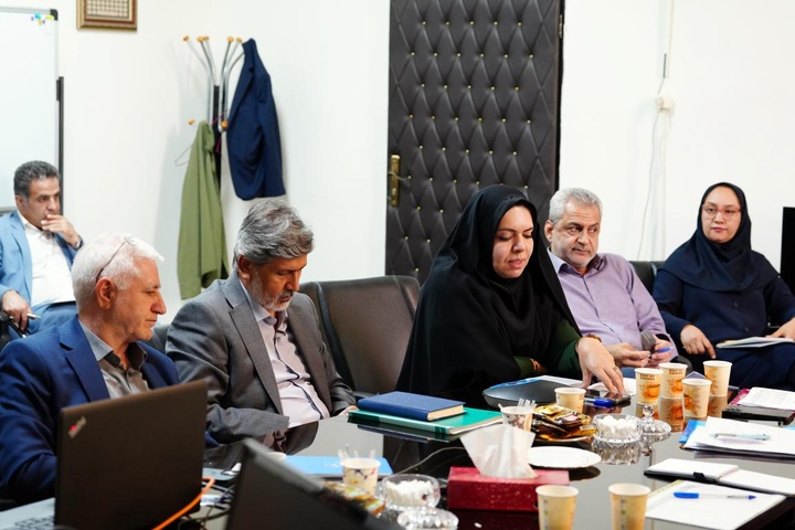 نشست آنلاین