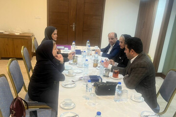 برگزاری کمیسیون درجه‌بندی تأسیسات گردشگری در هرمزگان/ درجه‌بندی ۶ واحد اقامتی و پذیرایی