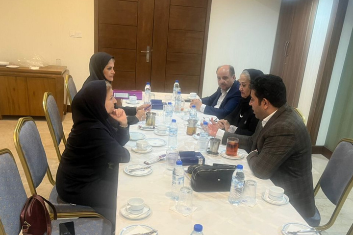 برگزاری کمیسیون درجه‌بندی تأسیسات گردشگری در هرمزگان/ درجه‌بندی ۶ واحد اقامتی و پذیرایی