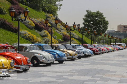 رالی تور خانوادگی کلوپ فلوکس واگن (تهران _ چالوس)