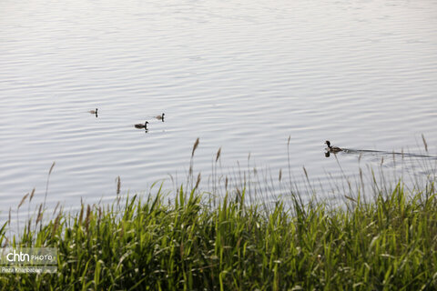 همایش پیاده روی خانوادگی دور دریاچه شورابیل