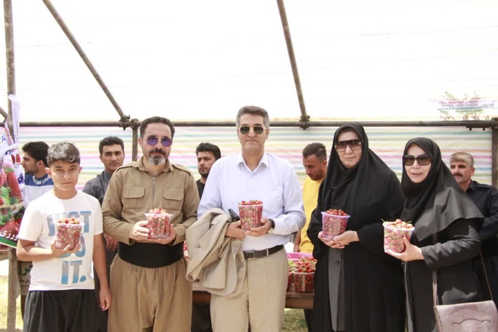 برگزاری جشنواره توت‌فرنگی شاهو در استان کرمانشاه