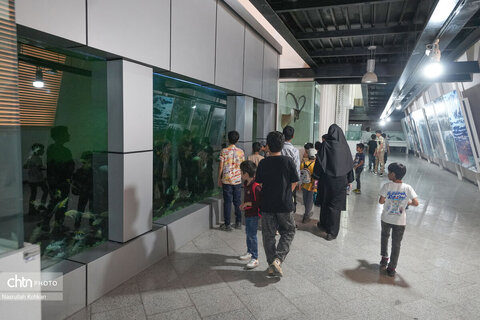 بازدید موزه