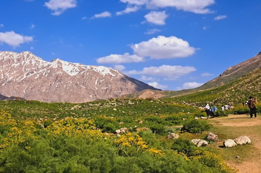 کوه گل دنا