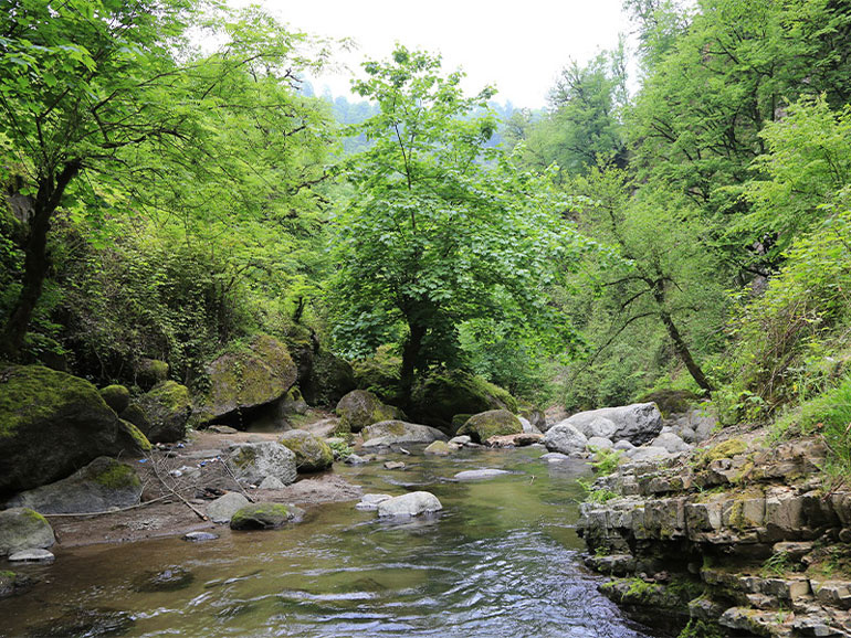 آبشار تنگ تامرادی