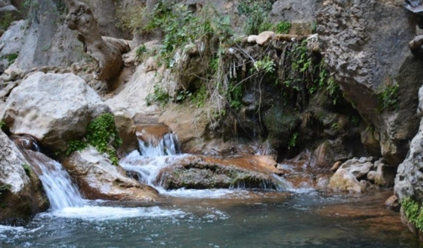 آبشار تنگ تامرادی